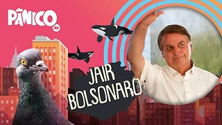 JAIR BOLSONARO - PÂNICO