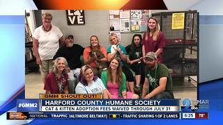 Good morning from the Harford County Humane Society!