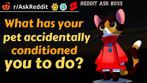 What has your pet accidentally conditioned you to do? #shorts nsfw #askreddit