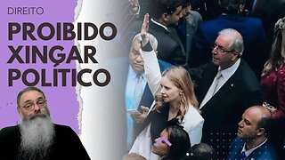 DEPUTADA sugere LEI que PROÍBE XINGAR POLÍTICOS, AMIGOS de POLÍTICOS e MAIS: TEM que aguentar CALADO