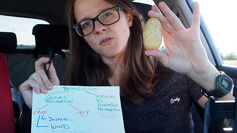 The WAR on Food (Episode 1) Why potatoes will always be #1
