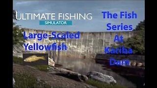 Ultimate Fishing Simulator: The Fish - Kariba Dam - Large Scaled Yellowfish - [00062]
