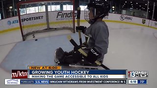 Youth sled hockey hits City National Arena