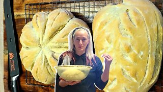 Sourdough Bread | Just Starting