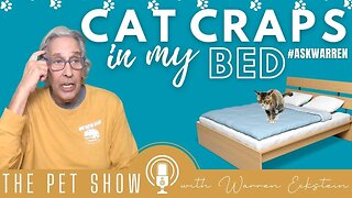 Why Does my CAT CRAP in my BED?