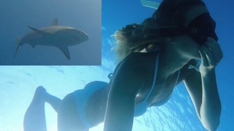 Freediving with SHARKS + Girls night!! [ep 26]