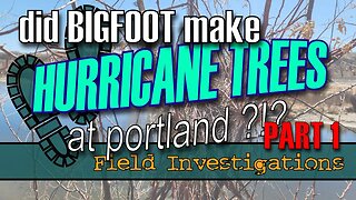 Evidence of Sasquatch? Glenn discovers a new Hurricane Tree along the Arkansas River at Portland.