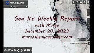 Sea Ice Weekly Report with Margo (Dec. 20, 2023)