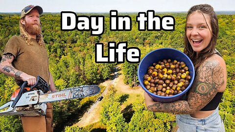 Foraging & Wood Processing | a REAL day in the life of an off-grid homestead