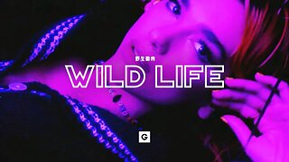 [FREE] Dua Lipa Freestyle Type Beat 2023 - "WILD LIFE" (Prod. GRILLABEATS)