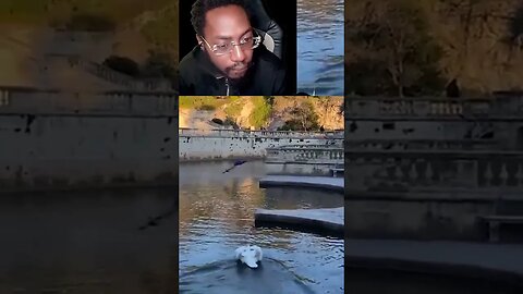 STUPID GUY GET BIT BY A DUCK🦆🤬