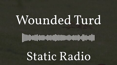 Wounded Turd | Static Radio