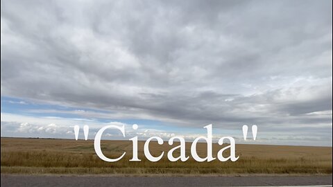 "CIcada"