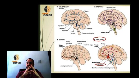 Farmacologia dos Agonistas Colinérgicos - Parte 1