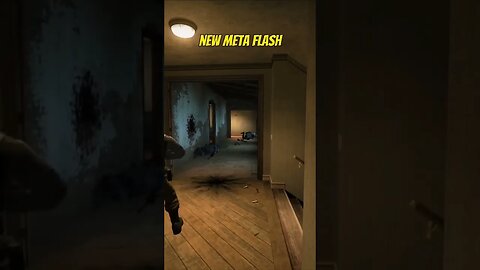 NEW META FLASH - #Csgo Shorts