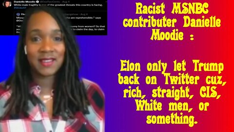 MSNBC contributor Danielle Moodie is not happy that Elon let Trump back on Twitter