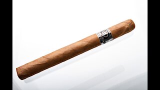 Capa Fina Churchill Cigar Review