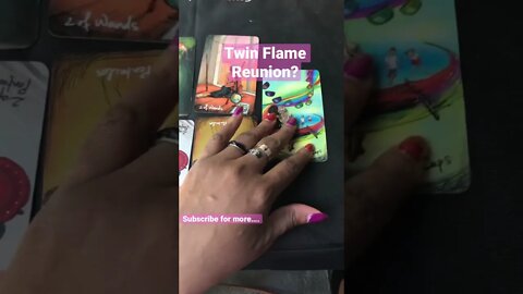 Twin Flame Collective Reading 🦋 Tarot Shorts