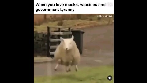 When you love masks, vaccine, and government tyranny