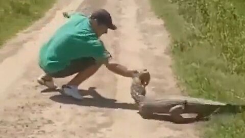 Idiot F*cked Around And Found Out With Some Sharp-Toothed Nature