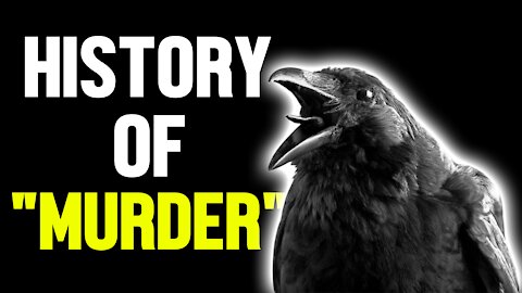 A Murder Of Crows - FURensic Files - Episode 1