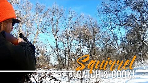 Winter Squirrel Hunting with .22 Rifle - CATCH & COOK!!!