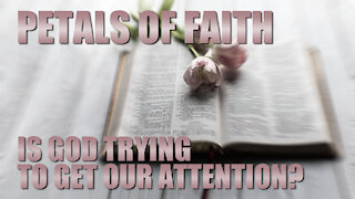 Petals of Faith - Is GOD Trying to Get Our Attention?