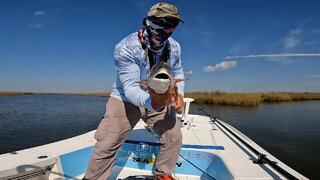 Solo Fly Fishing Scouting trip for Redfish