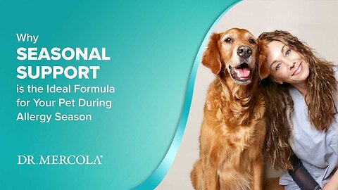 Why SEASONAL SUPPORT is the Ideal Formula for Your Pet During Allergy Season