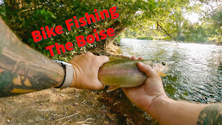 Bike Fishing the Boise - Day of the Dinks