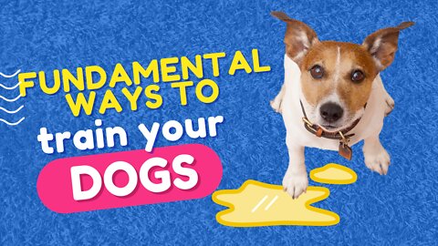 FUNDAMENTAL WAYS TO TRAIN YOUR DOGS