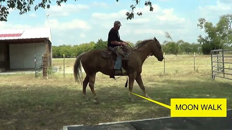 Part 2 of 3 - Riding A Bucking Horse After A Year Of Not Riding - Crazy Horse Tried To Throw Me