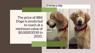 8Bit Doge Price Prediction 2023, 2025, 2030 BITD Cryptocurrency Price Prediction
