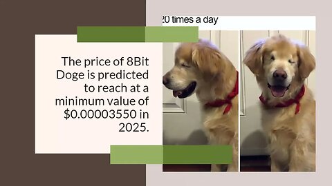 8Bit Doge Price Prediction 2023, 2025, 2030 BITD Cryptocurrency Price Prediction