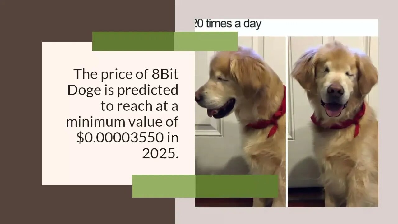 8Bit Doge Price Prediction 2023, 2025, 2030 BITD Cryptocurrency Price