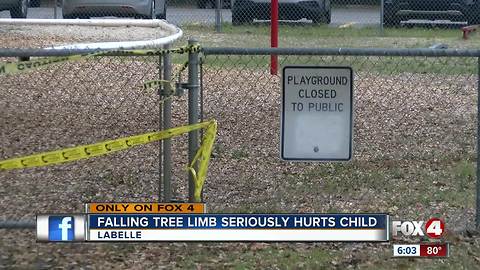 8-year-old girl suffers fractured skull from falling tree limb