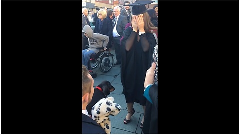 Woman surprised at graduation with puppy and marriage proposal