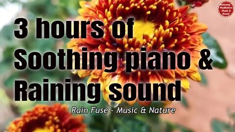 Soothing music with piano and gentle rain for 3 hours, relaxation music for meditate and healing