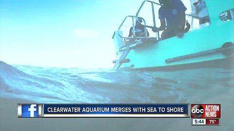 Clearwater Marine Aquarium merges with Sea to Shore