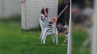 Desperate Dog Knocks Girl Down For Some Ice Cream