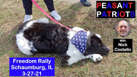 Patriot Rally for Fair Elections and Freedom in Shaumburg, Illinois!