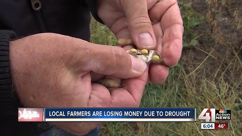 Rain, flooding impact farmers trying to harvest