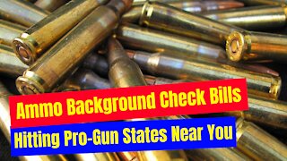 Ammo Background Check Bills Hitting Pro-Gun States Near You
