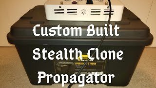 100% Cloning Success Rate / Custom Built Stealth Clone Propagator (Cannabis Growing Tips & Tricks)