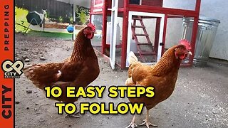 How to raise chickens in your backyard (10 tips)