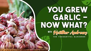 You GREW Garlic - NOW WHAT?