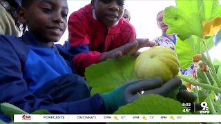Give Back Cincinnati helps rebuild Madisonville school garden