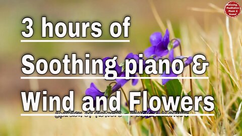 Soothing music with piano and windy sound for 3 hours, calming music to relax and meditate