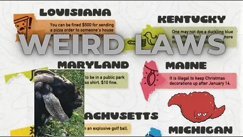Weird and Odd Laws in America