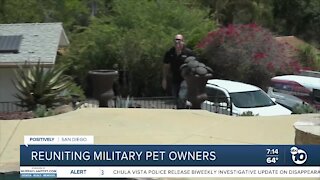 Reuniting military pet owners
